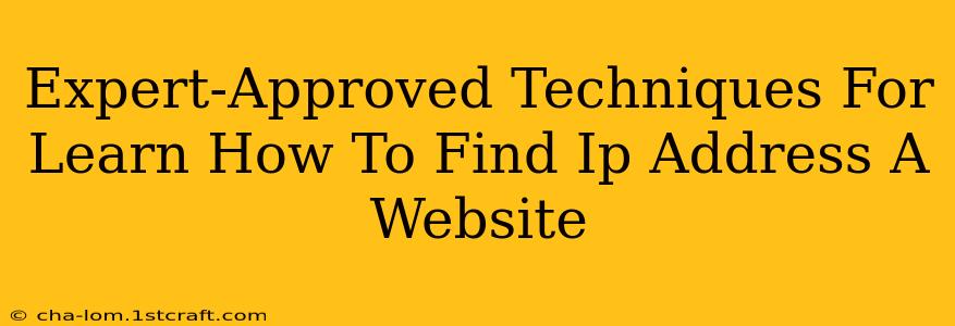 Expert-Approved Techniques For Learn How To Find Ip Address A Website