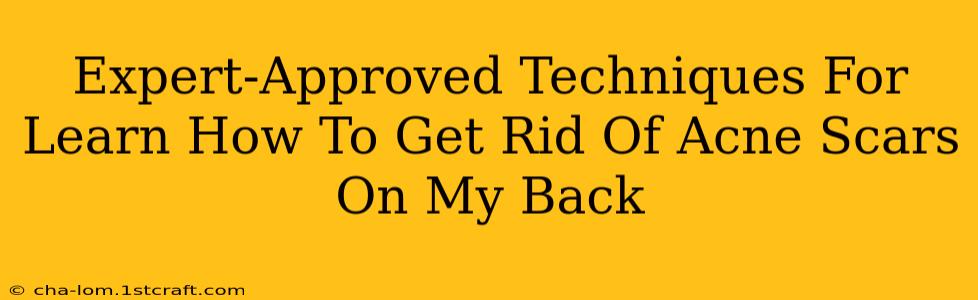 Expert-Approved Techniques For Learn How To Get Rid Of Acne Scars On My Back