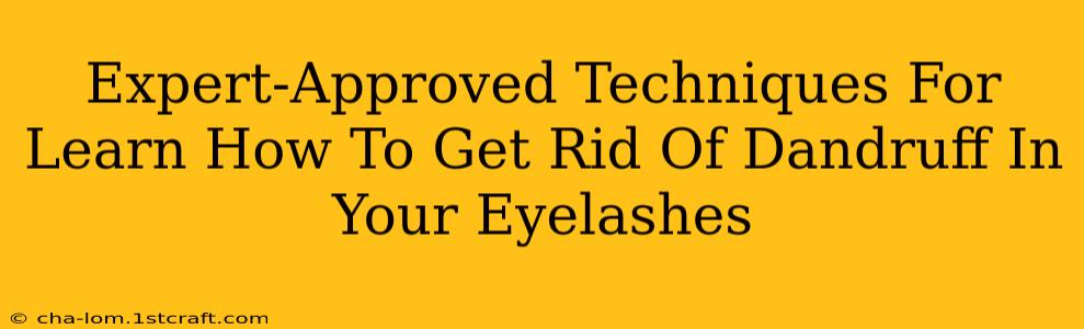 Expert-Approved Techniques For Learn How To Get Rid Of Dandruff In Your Eyelashes