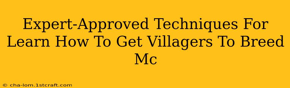 Expert-Approved Techniques For Learn How To Get Villagers To Breed Mc