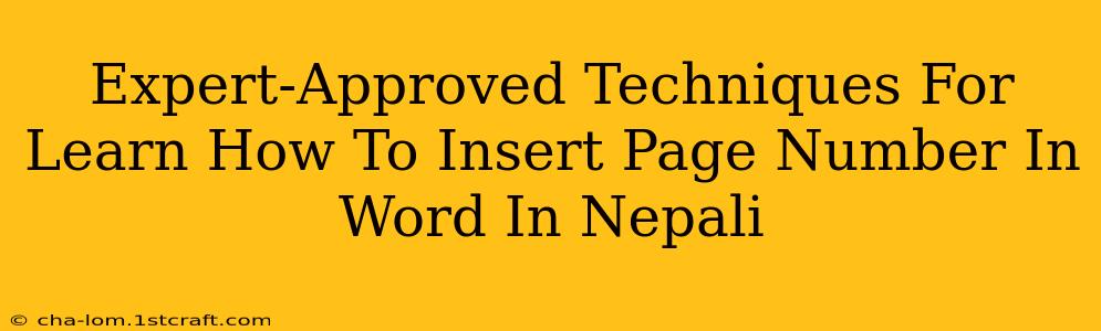 Expert-Approved Techniques For Learn How To Insert Page Number In Word In Nepali