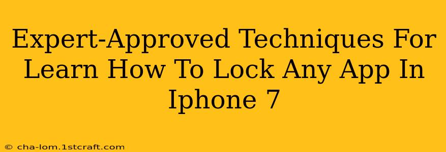 Expert-Approved Techniques For Learn How To Lock Any App In Iphone 7