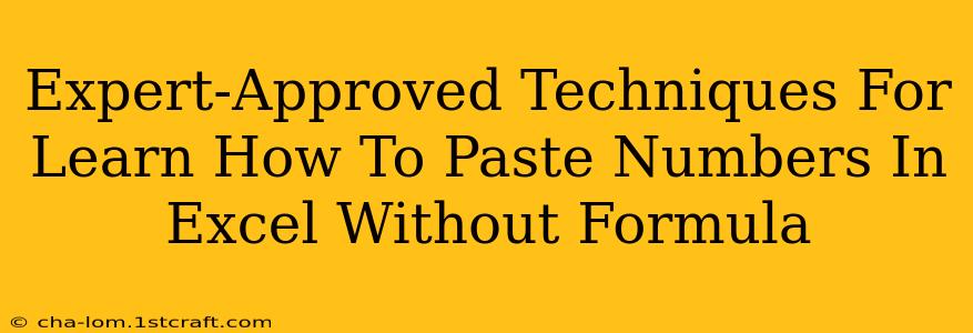 Expert-Approved Techniques For Learn How To Paste Numbers In Excel Without Formula