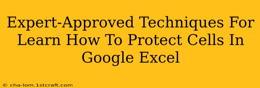 Expert-Approved Techniques For Learn How To Protect Cells In Google Excel