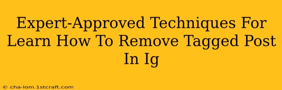 Expert-Approved Techniques For Learn How To Remove Tagged Post In Ig