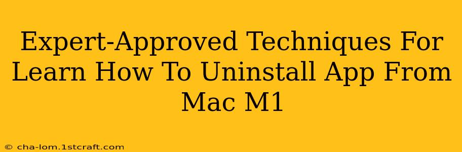 Expert-Approved Techniques For Learn How To Uninstall App From Mac M1