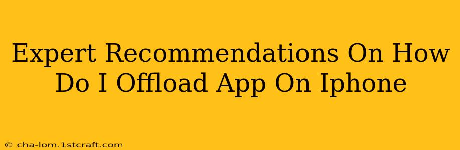 Expert Recommendations On How Do I Offload App On Iphone