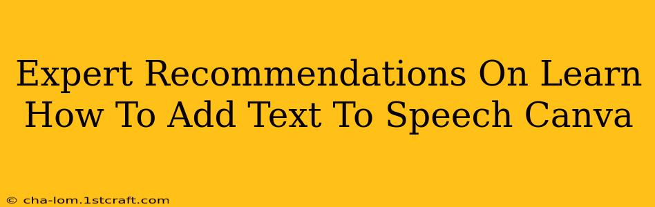 Expert Recommendations On Learn How To Add Text To Speech Canva