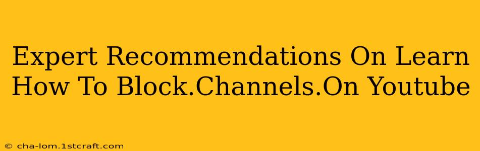 Expert Recommendations On Learn How To Block.Channels.On Youtube