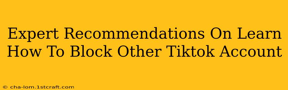 Expert Recommendations On Learn How To Block Other Tiktok Account