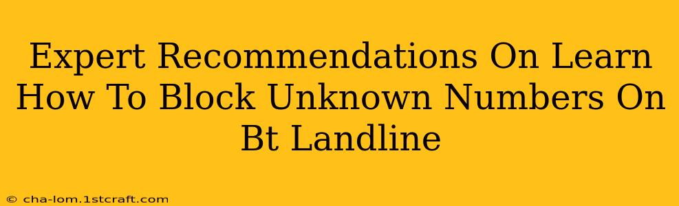 Expert Recommendations On Learn How To Block Unknown Numbers On Bt Landline