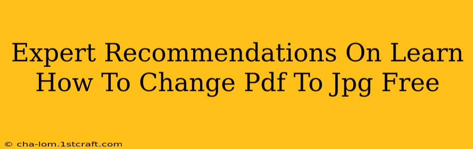 Expert Recommendations On Learn How To Change Pdf To Jpg Free