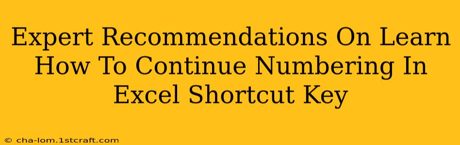 Expert Recommendations On Learn How To Continue Numbering In Excel Shortcut Key