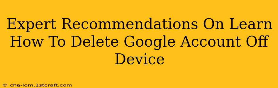 Expert Recommendations On Learn How To Delete Google Account Off Device