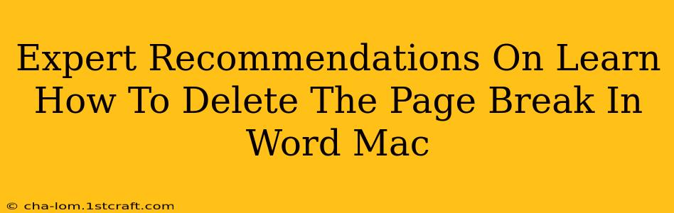 Expert Recommendations On Learn How To Delete The Page Break In Word Mac