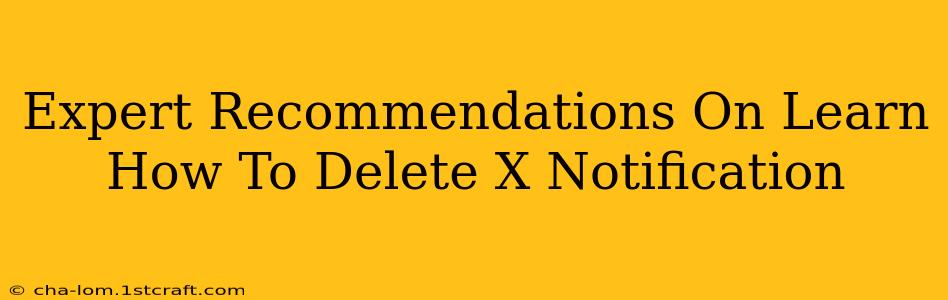 Expert Recommendations On Learn How To Delete X Notification