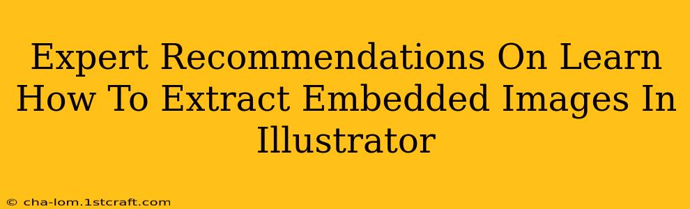 Expert Recommendations On Learn How To Extract Embedded Images In Illustrator