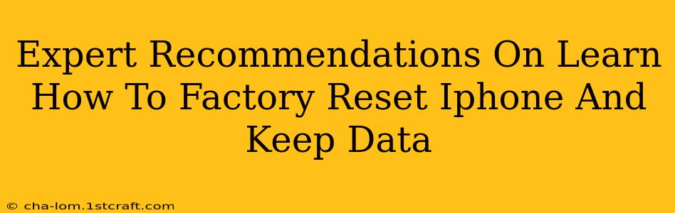 Expert Recommendations On Learn How To Factory Reset Iphone And Keep Data