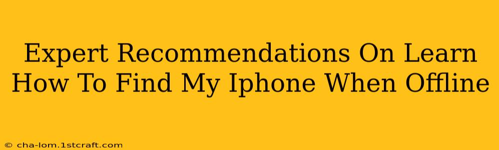 Expert Recommendations On Learn How To Find My Iphone When Offline