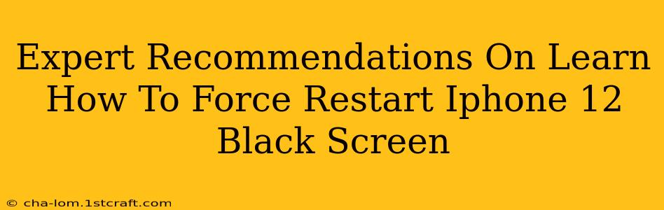 Expert Recommendations On Learn How To Force Restart Iphone 12 Black Screen