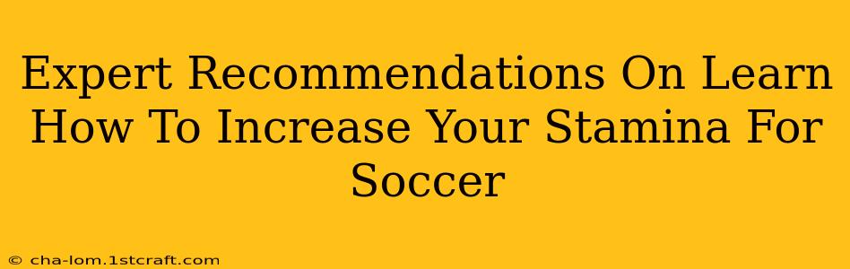 Expert Recommendations On Learn How To Increase Your Stamina For Soccer