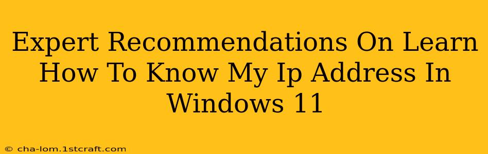 Expert Recommendations On Learn How To Know My Ip Address In Windows 11