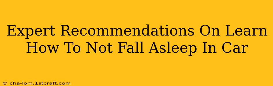 Expert Recommendations On Learn How To Not Fall Asleep In Car