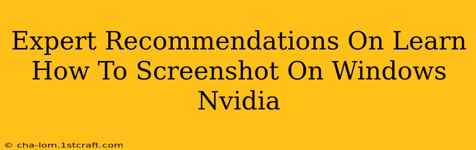 Expert Recommendations On Learn How To Screenshot On Windows Nvidia