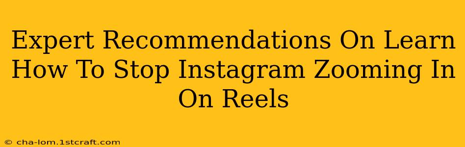 Expert Recommendations On Learn How To Stop Instagram Zooming In On Reels