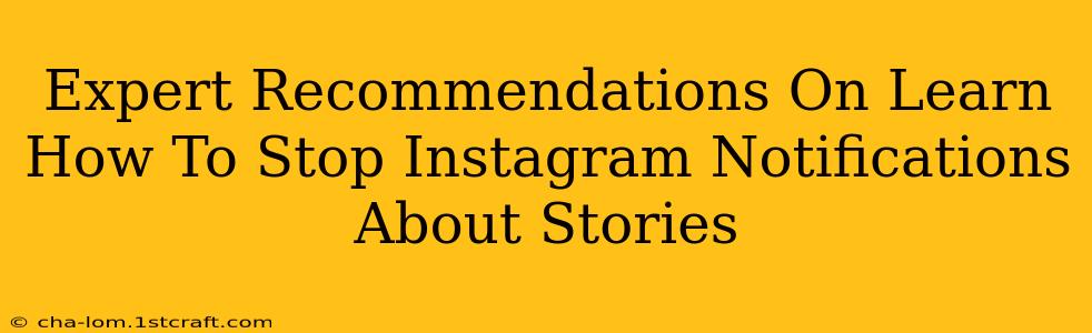 Expert Recommendations On Learn How To Stop Instagram Notifications About Stories