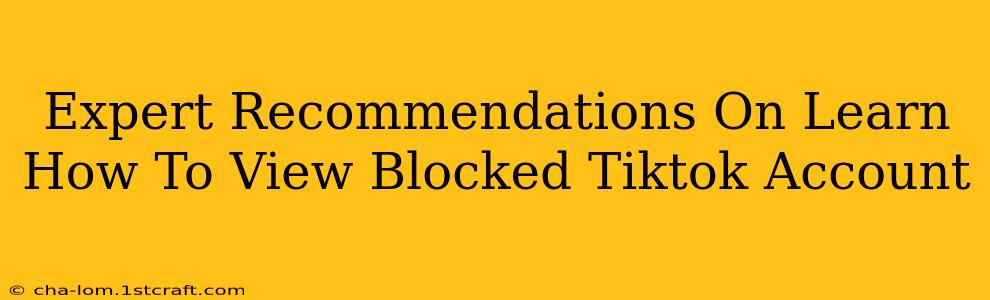 Expert Recommendations On Learn How To View Blocked Tiktok Account