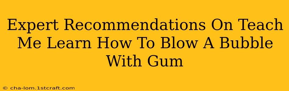 Expert Recommendations On Teach Me Learn How To Blow A Bubble With Gum