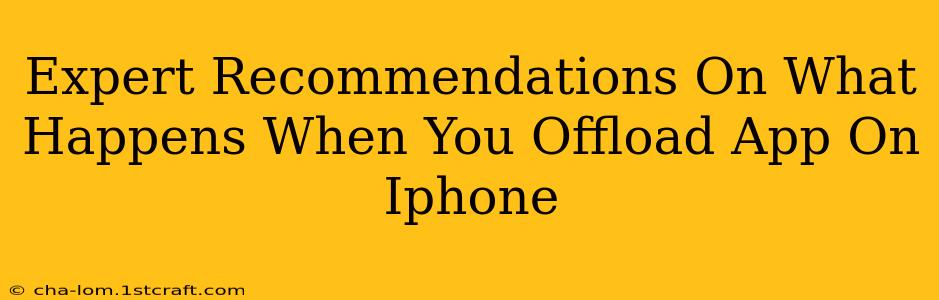 Expert Recommendations On What Happens When You Offload App On Iphone