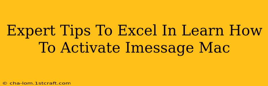 Expert Tips To Excel In Learn How To Activate Imessage Mac