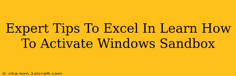 Expert Tips To Excel In Learn How To Activate Windows Sandbox