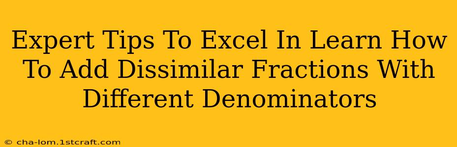 Expert Tips To Excel In Learn How To Add Dissimilar Fractions With Different Denominators