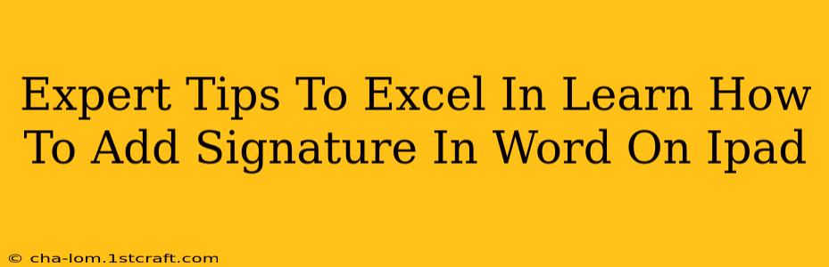 Expert Tips To Excel In Learn How To Add Signature In Word On Ipad