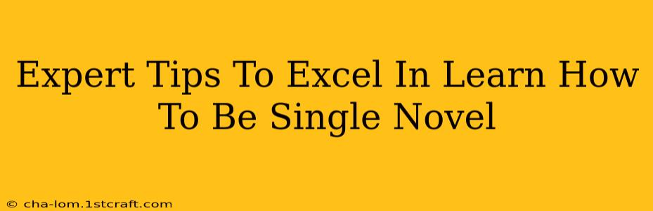 Expert Tips To Excel In Learn How To Be Single Novel