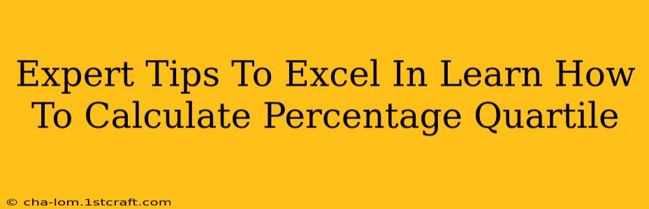 Expert Tips To Excel In Learn How To Calculate Percentage Quartile