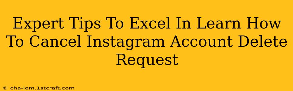 Expert Tips To Excel In Learn How To Cancel Instagram Account Delete Request