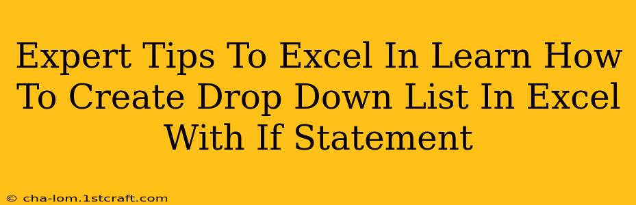 Expert Tips To Excel In Learn How To Create Drop Down List In Excel With If Statement