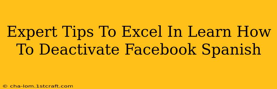 Expert Tips To Excel In Learn How To Deactivate Facebook Spanish