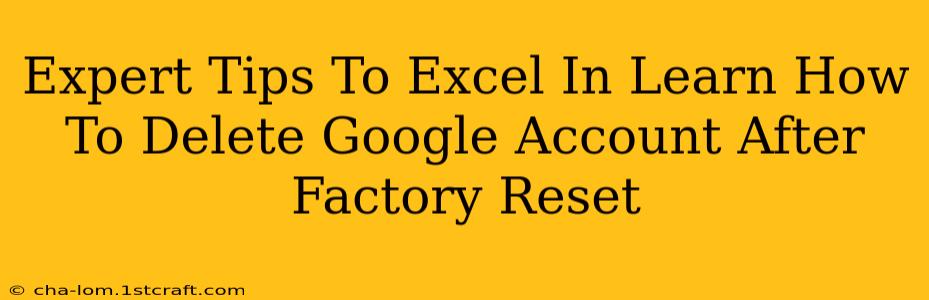 Expert Tips To Excel In Learn How To Delete Google Account After Factory Reset