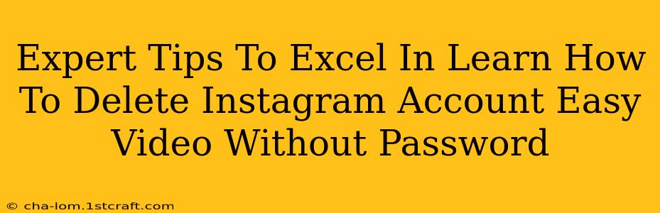 Expert Tips To Excel In Learn How To Delete Instagram Account Easy Video Without Password