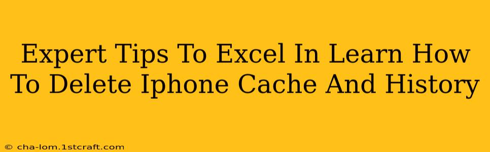 Expert Tips To Excel In Learn How To Delete Iphone Cache And History