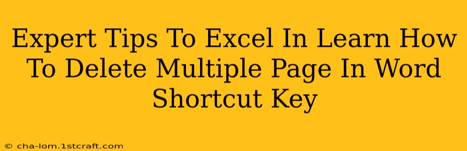 Expert Tips To Excel In Learn How To Delete Multiple Page In Word Shortcut Key