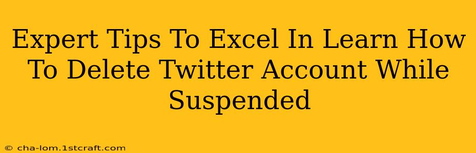 Expert Tips To Excel In Learn How To Delete Twitter Account While Suspended