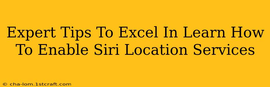 Expert Tips To Excel In Learn How To Enable Siri Location Services