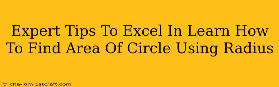 Expert Tips To Excel In Learn How To Find Area Of Circle Using Radius