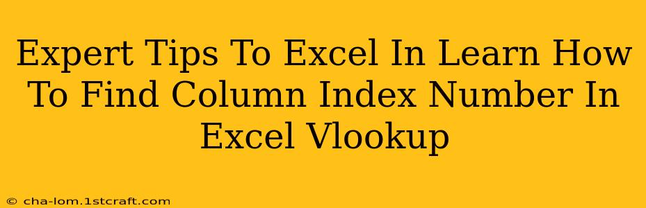 Expert Tips To Excel In Learn How To Find Column Index Number In Excel Vlookup